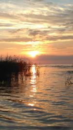 Рыбинское водохранилище (Россия, Рыбинск) фото